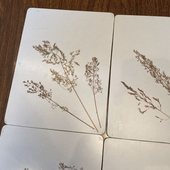 Adsum Of England Placemats Vtg Lot Of 6 English Grasses With Box 7x9” - Picture 5 of 12